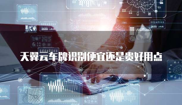 天翼云车牌识别便宜还是贵好用点