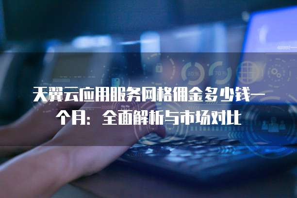 天翼云应用服务网格佣金多少钱一个月:全面解析与市场对比