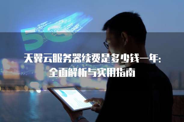 天翼云服务器续费是多少钱一年:全面解析与实用指南