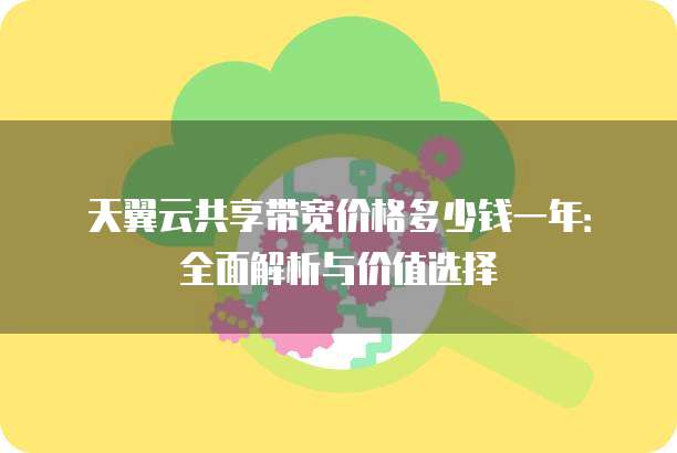 天翼云共享带宽价格多少钱一年：全面解析与价值选择
