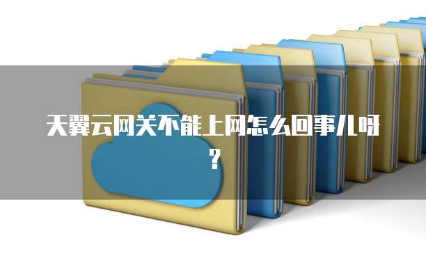 天翼云网关不能上网怎么回事儿呀?