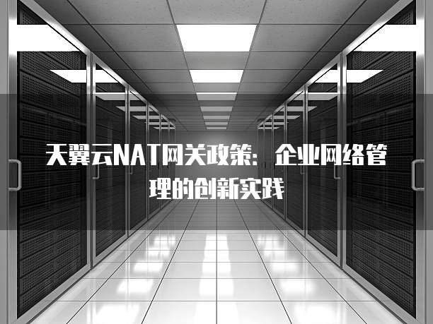 天翼云NAT网关政策:企业网络管理的创新实践