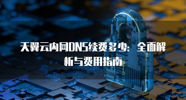 天翼云内网DNS续费多少:全面解析与费用指南
