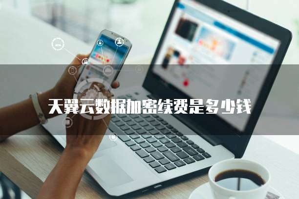 天翼云数据加密续费是多少钱