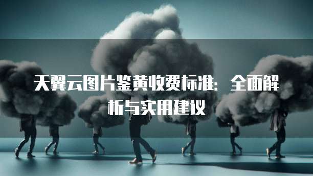 天翼云图片鉴黄收费标准:全面解析与实用建议