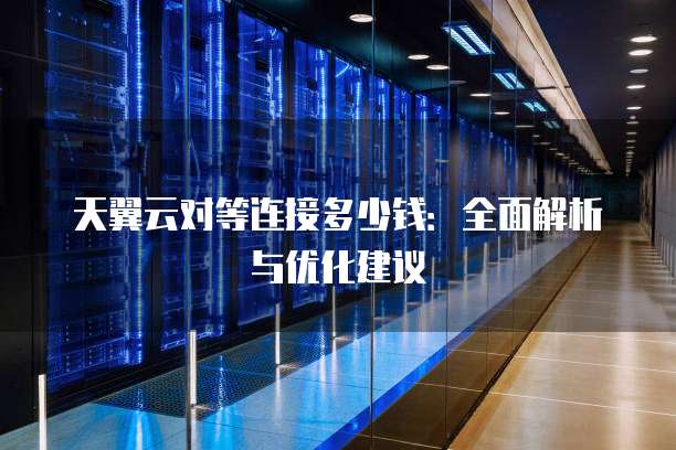 天翼云对等连接多少钱:全面解析与优化建议