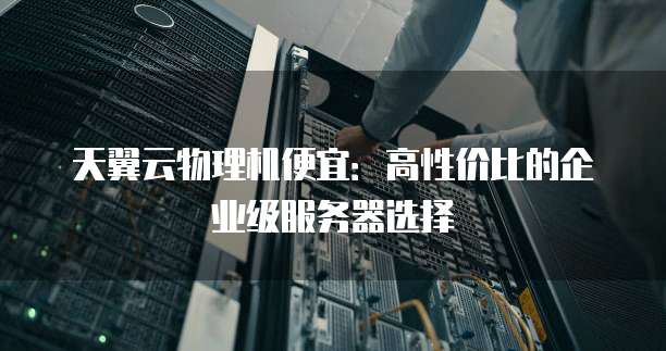 天翼云物理机便宜:高性价比的企业级服务器选择