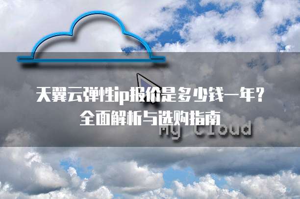 天翼云弹性ip报价是多少钱一年?全面解析与选购指南