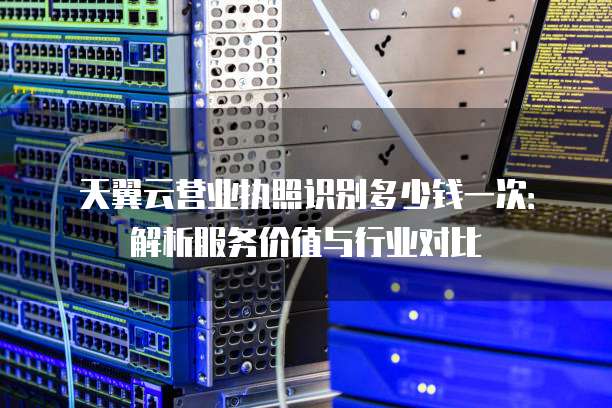 天翼云营业执照识别多少钱一次:解析服务价值与行业对比