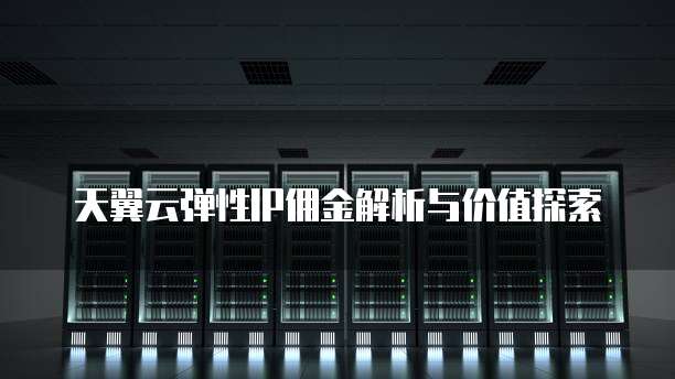 天翼云弹性IP佣金解析与价值探索