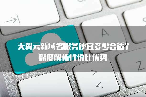 天翼云新域名服务便宜多少合适?深度解析性价比优势