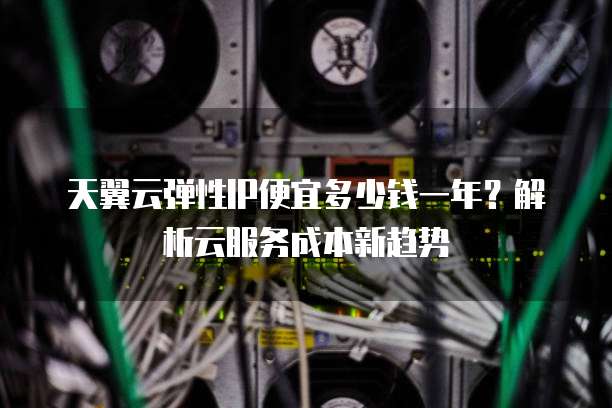 天翼云弹性IP便宜多少钱一年?解析云服务成本新趋势