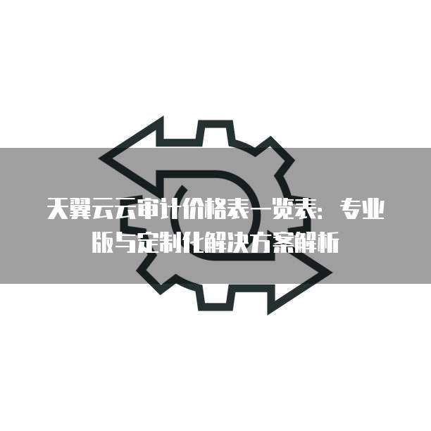 天翼云云审计价格表一览表:专业版与定制化解决方案解析