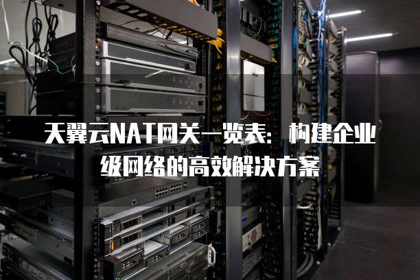 天翼云NAT网关一览表:构建企业级网络的高效解决方案