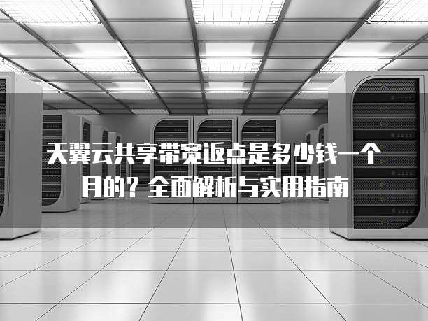 天翼云共享带宽返点是多少钱一个月的?全面解析与实用指南