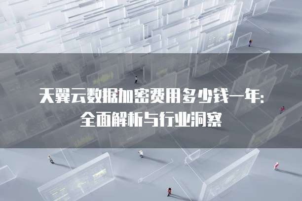 天翼云数据加密费用多少钱一年：全面解析与行业洞察