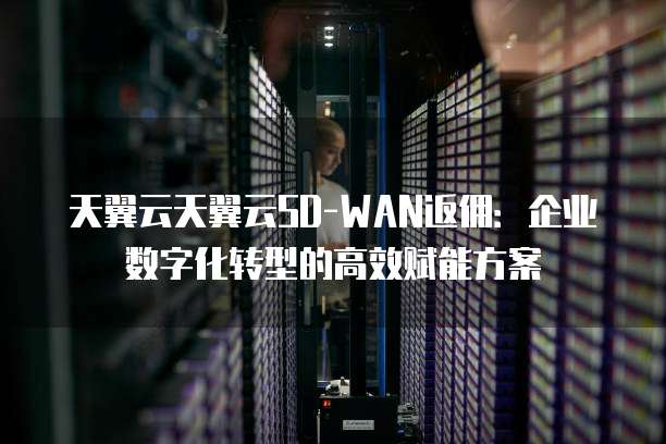 天翼云天翼云SD-WAN返佣:企业数字化转型的高效赋能方案