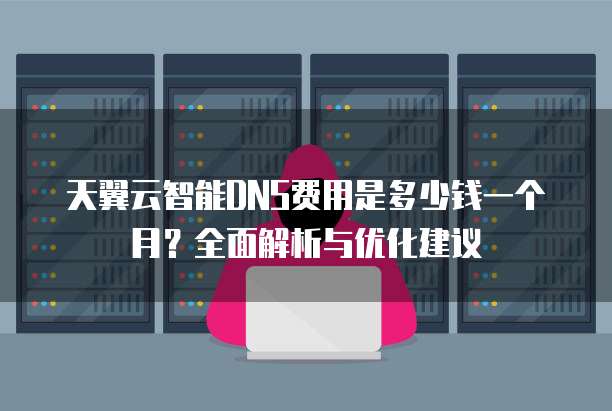 天翼云智能DNS费用是多少钱一个月?全面解析与优化建议
