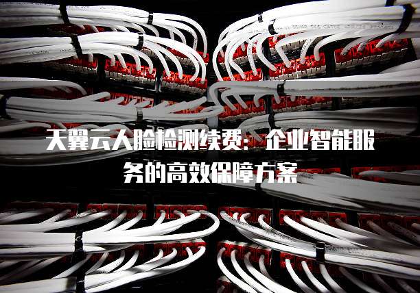 天翼云人脸检测续费:企业智能服务的高效保障方案
