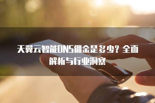 天翼云智能DNS佣金是多少?全面解析与行业洞察