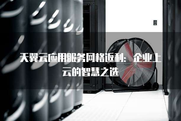 天翼云应用服务网格返利:企业上云的智慧之选