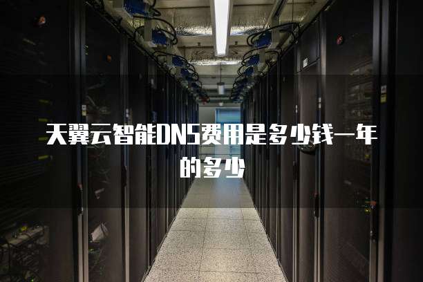 天翼云智能DNS费用是多少钱一年的多少