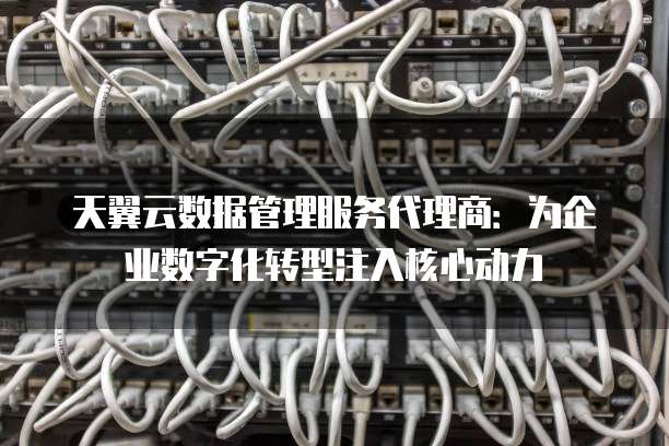 天翼云数据管理服务代理商:为企业数字化转型注入核心动力