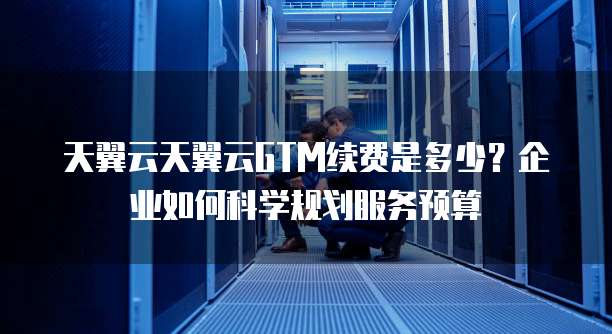 天翼云天翼云GTM续费是多少？企业如何科学规划服务预算