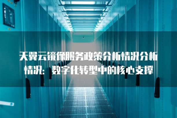 天翼云镜像服务政策分析情况分析情况：数字化转型中的核心支撑