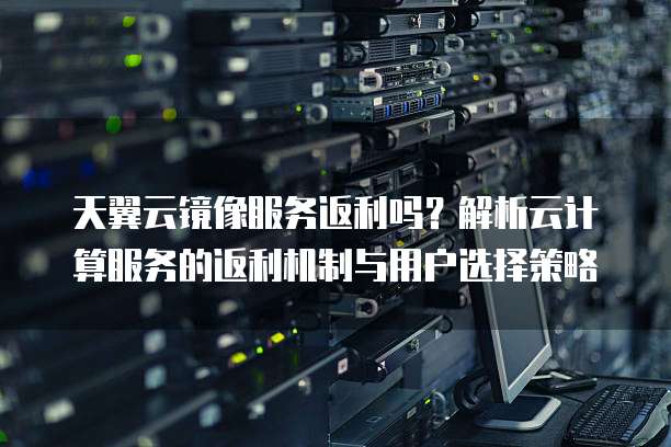 天翼云镜像服务返利吗?解析云计算服务的返利机制与用户选择策略