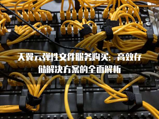 天翼云弹性文件服务购买:高效存储解决方案的全面解析