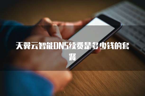 天翼云智能DNS续费是多少钱的套餐