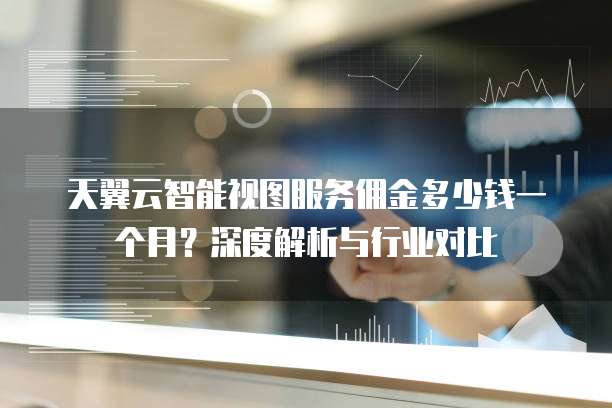 天翼云智能视图服务佣金多少钱一个月?深度解析与行业对比