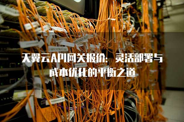 天翼云API网关报价：灵活部署与成本优化的平衡之道