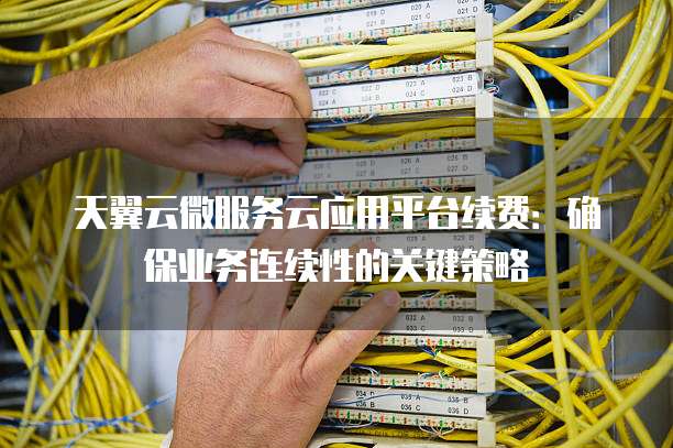 天翼云微服务云应用平台续费:确保业务连续性的关键策略