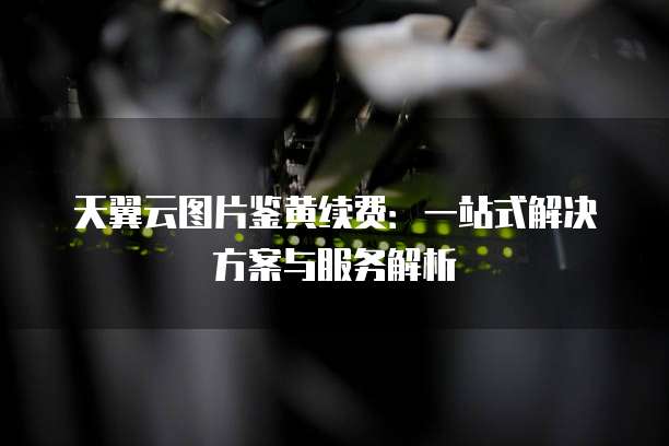 天翼云图片鉴黄续费:一站式解决方案与服务解析