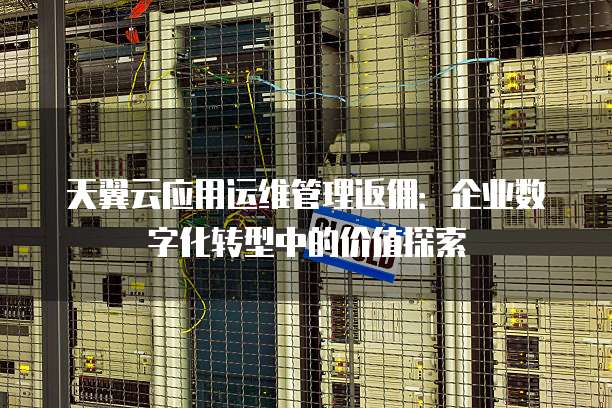 天翼云应用运维管理返佣:企业数字化转型中的价值探索