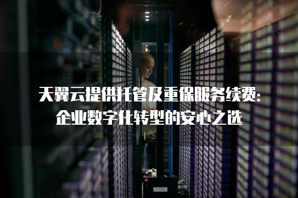 天翼云提供托管及重保服务续费:企业数字化转型的安心之选