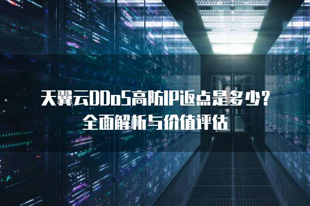 天翼云DDoS高防IP返点是多少？全面解析与价值评估