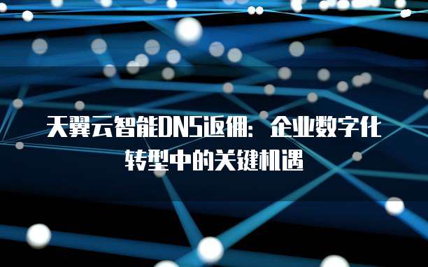 天翼云智能DNS返佣:企业数字化转型中的关键机遇