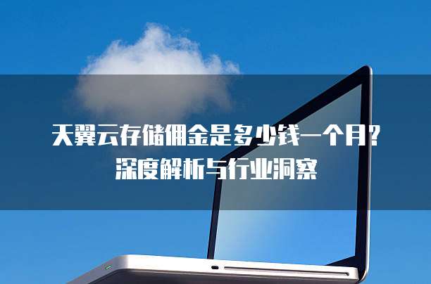 天翼云存储佣金是多少钱一个月?深度解析与行业洞察