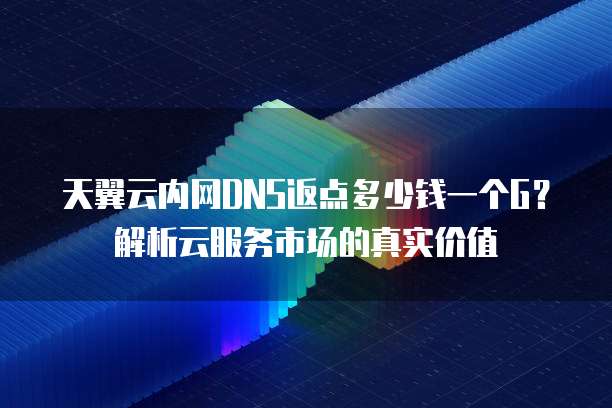 天翼云内网DNS返点多少钱一个G?解析云服务市场的真实价值