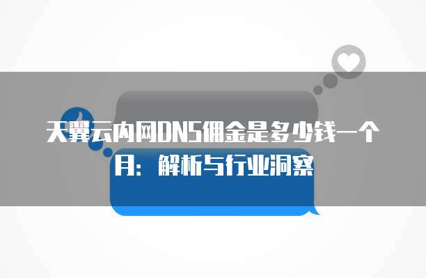 天翼云内网DNS佣金是多少钱一个月:解析与行业洞察