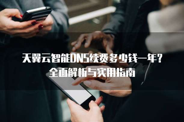 天翼云智能DNS续费多少钱一年？全面解析与实用指南
