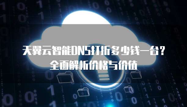 天翼云智能DNS打折多少钱一台？全面解析价格与价值