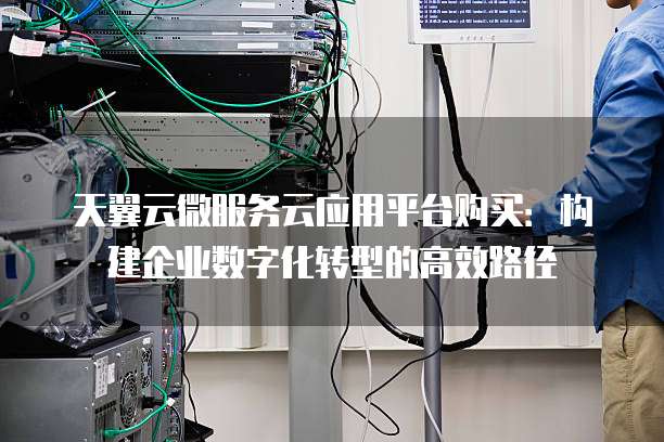 天翼云微服务云应用平台购买:构建企业数字化转型的高效路径