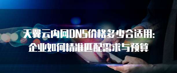 天翼云内网DNS价格多少合适用:企业如何精准匹配需求与预算