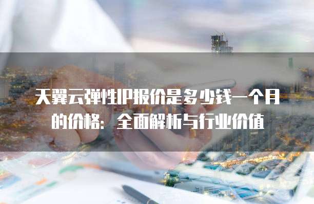 天翼云弹性IP报价是多少钱一个月的价格:全面解析与行业价值