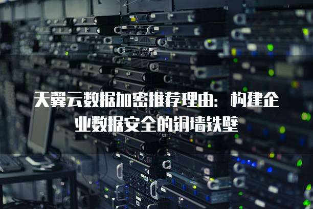 天翼云数据加密推荐理由:构建企业数据安全的铜墙铁壁