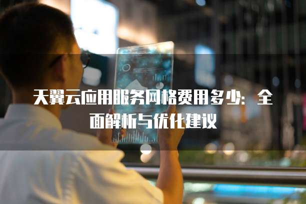 天翼云应用服务网格费用多少:全面解析与优化建议